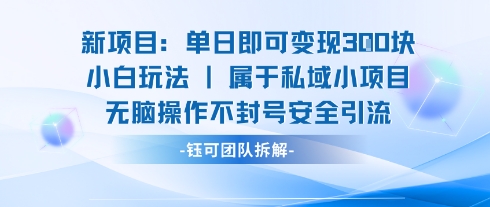 新项目单日即可变现3张的小白玩法无脑操作不封号安全引流-网创副业教程