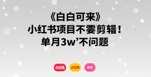 小白可来 小红书项目不需要剪辑 单月3w不是问题-网创副业教程