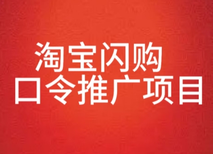 淘宝闪购口令推广项目，收益可观，一部手机，一个抖音号即可操作-网创副业教程
