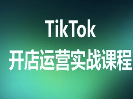 TikTok开店运营实战课程，TK跨境电商实操全流程-网创副业教程
