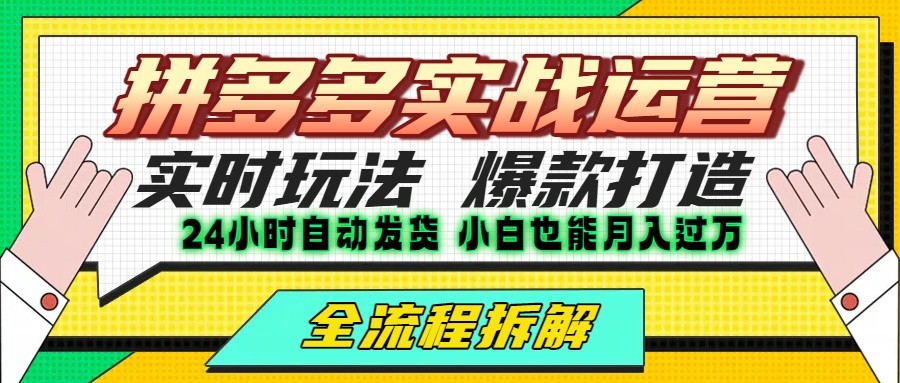 拼多多最新实战运营高投产：长久稳定项目，单店利润一天三位数-网创副业教程