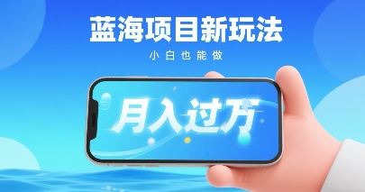 小红书蓝海项目新玩法，一部手机即可月入过W，推荐小白做非常简单认可度超高-网创副业教程