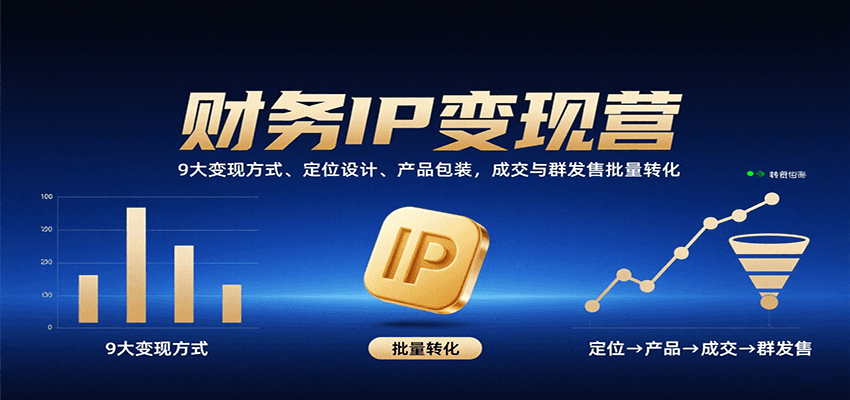 财务IP变现营：9大变现方式、定位设计、产品包装，成交与群发售批量转化-网创副业教程