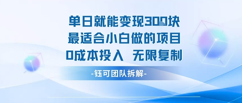 单日就能变现3张最适合小白做的项目0成本投入 无限复制-网创副业教程