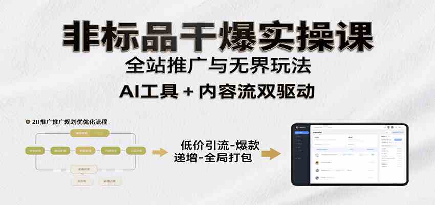 非标品干爆实操课：含多案例及操盘方法，从选品到推广、成交，助力打造爆款实现盈利-网创副业教程