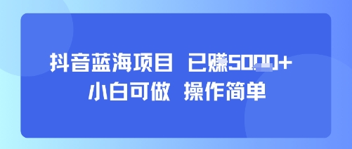 抖音蓝海项目，小白可做，操作简单，可批量制作，已挣5k+-网创副业教程