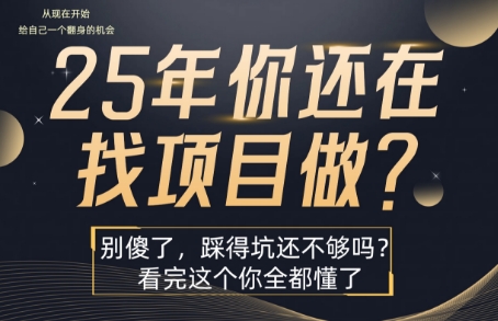 25年，你还在疯狂的找项目吗？别傻了，看完这个你都懂了【揭秘】-网创副业教程