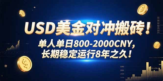 （15551期）USD美金对冲搬砖!单人单日800-2000CNY，长期稳定运行8年之久!-网创副业教程