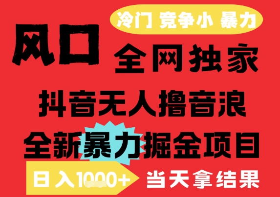 25年6月高爆抖音无人直播最新撸音浪掘金项目，解放双手小白可做，无脑日入1k+，门槛低【揭秘】-网创副业教程