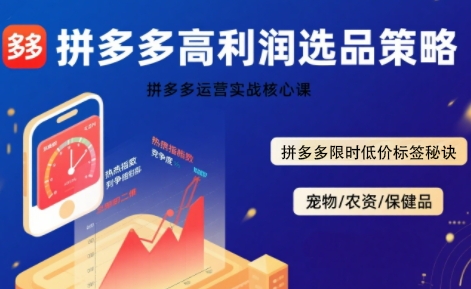 拼多多选品暴利技术实战课，拼多多高利润选品策略，拼多多限时低价标签秘诀-网创副业教程