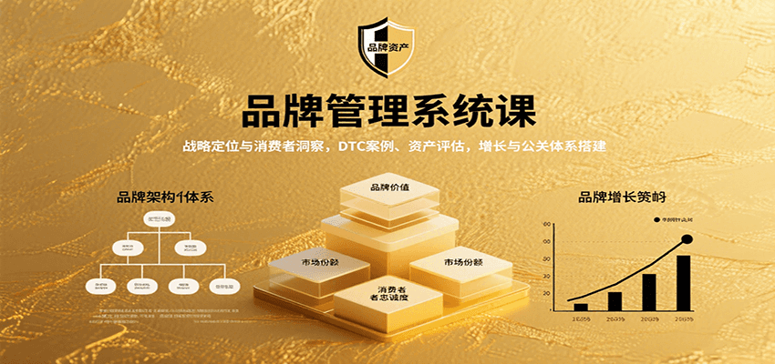 品牌管理系统课：战略定位与消费者洞察，DTC案例、资产评估，增长与公关体系搭建-网创副业教程