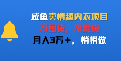 咸鱼卖情趣内衣项目，不囤货，不发货，月入3W+，悄悄做-网创副业教程