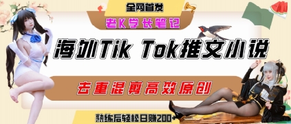 海外tiktok小说推文暴力项目，高停留率，高转化率，上手后一天搞顿饭钱不是问题-网创副业教程