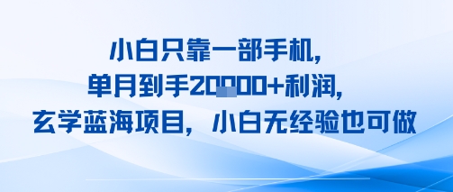 小白只靠一部手机，单月到手2W+利润，玄学蓝海项目，小白无经验也可做-网创副业教程