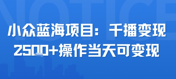 小众蓝海项目，千播变现2.5k+操作当天可变现-网创副业教程