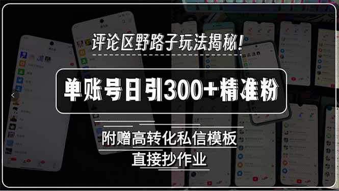 （15466期）评论区野路子玩法揭秘！单账号日引300+精准粉，附赠高转化私信模板，直…-网创副业教程
