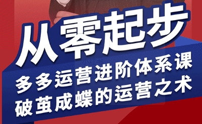 拼多多运营进阶系统课，从零起步，多多运营进阶体系课，破茧成蝶的运营之术-网创副业教程