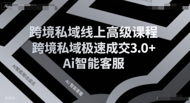 跨境私域线上高级课程，跨境私域极速成交3.0+Ai智能客服-网创副业教程