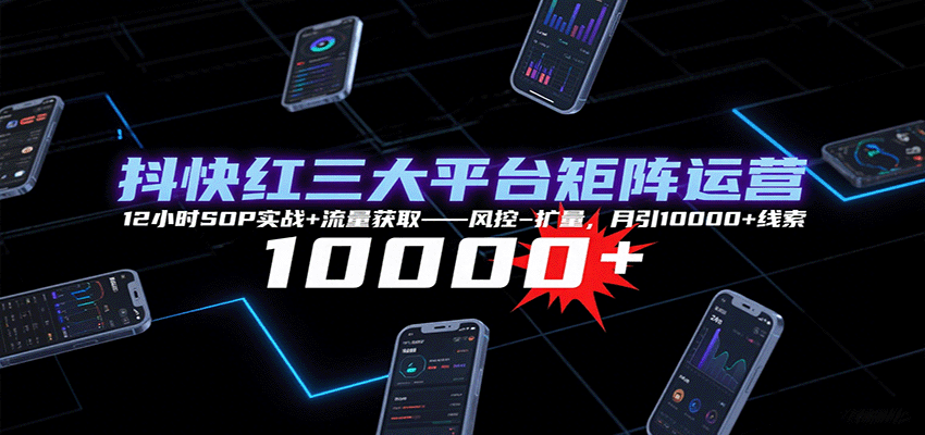 抖快红三大平台矩阵运营,12小时SOP实战+流量获取-风控-扩量,月引10000+线索-网创副业教程